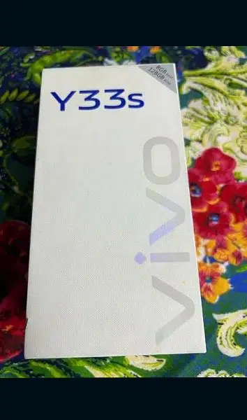 vivo y33s