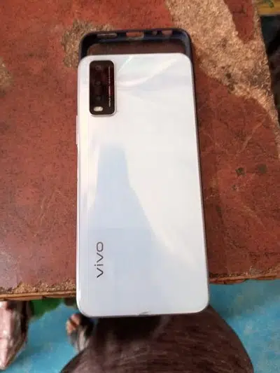 Vivo Y21 Demander Colour