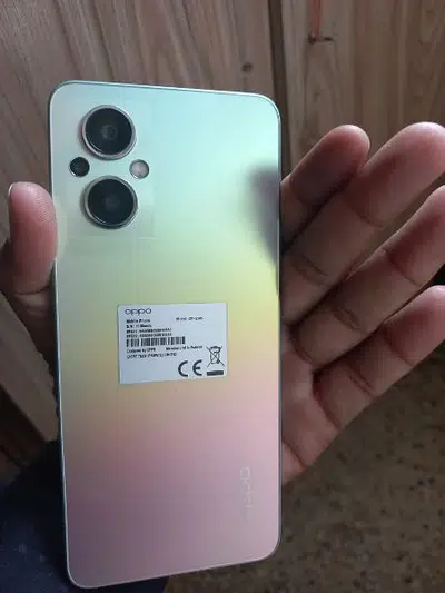 OPPO F21 pro 5G (03461639058)